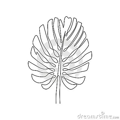 Monstera leaf drawn with one continuous line. Tropical palm leaf of monstera, one line drawing. Vector Vector Illustration